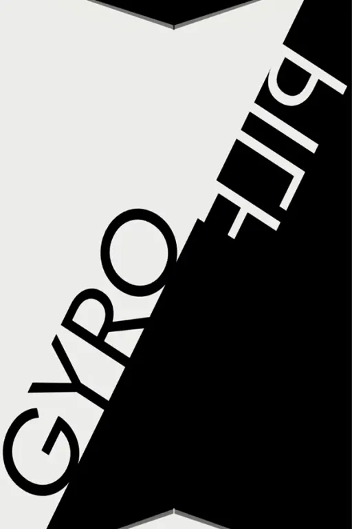 artwork du jeu gyroflip